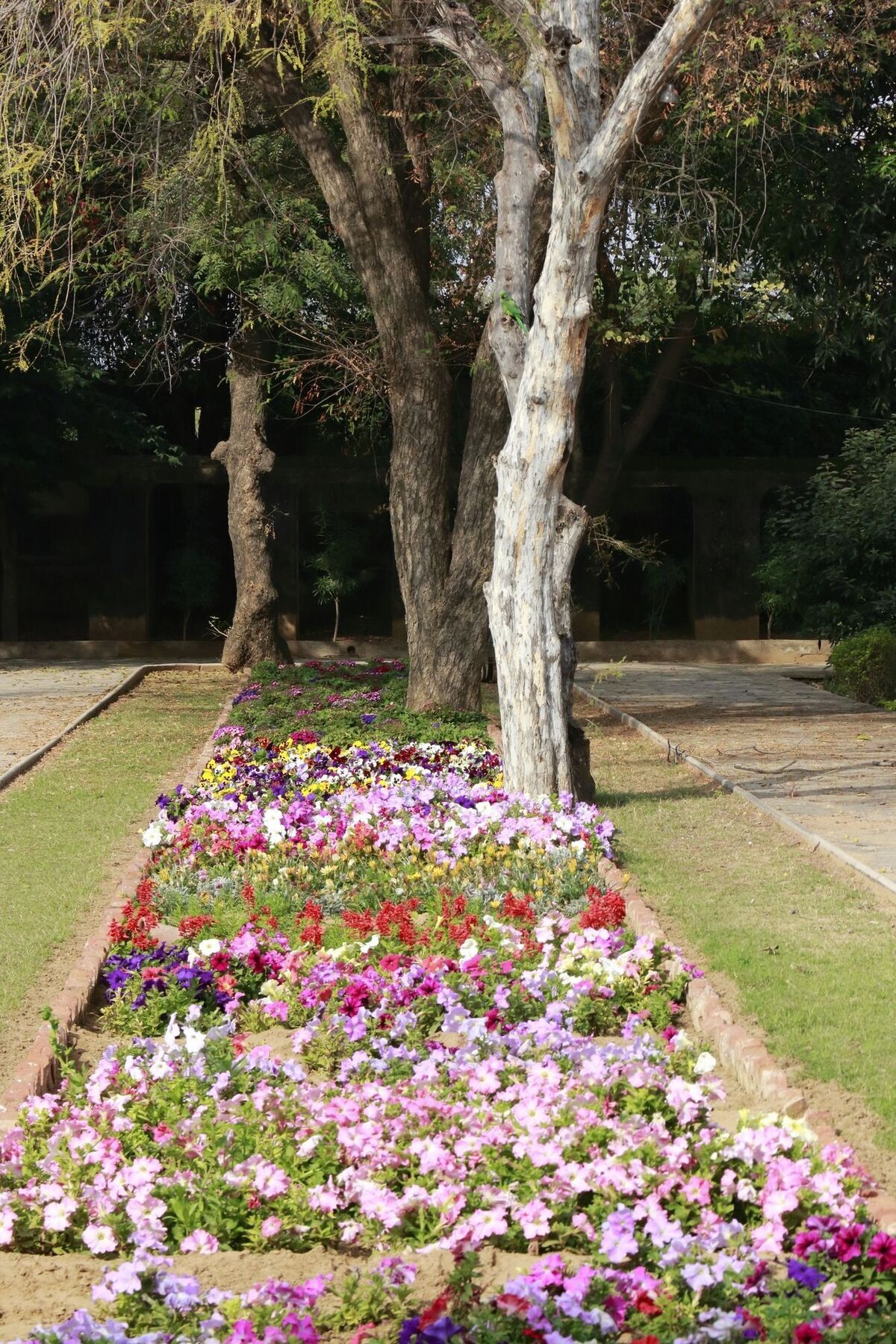 Samode Bagh Hotel Ngoại thất bức ảnh